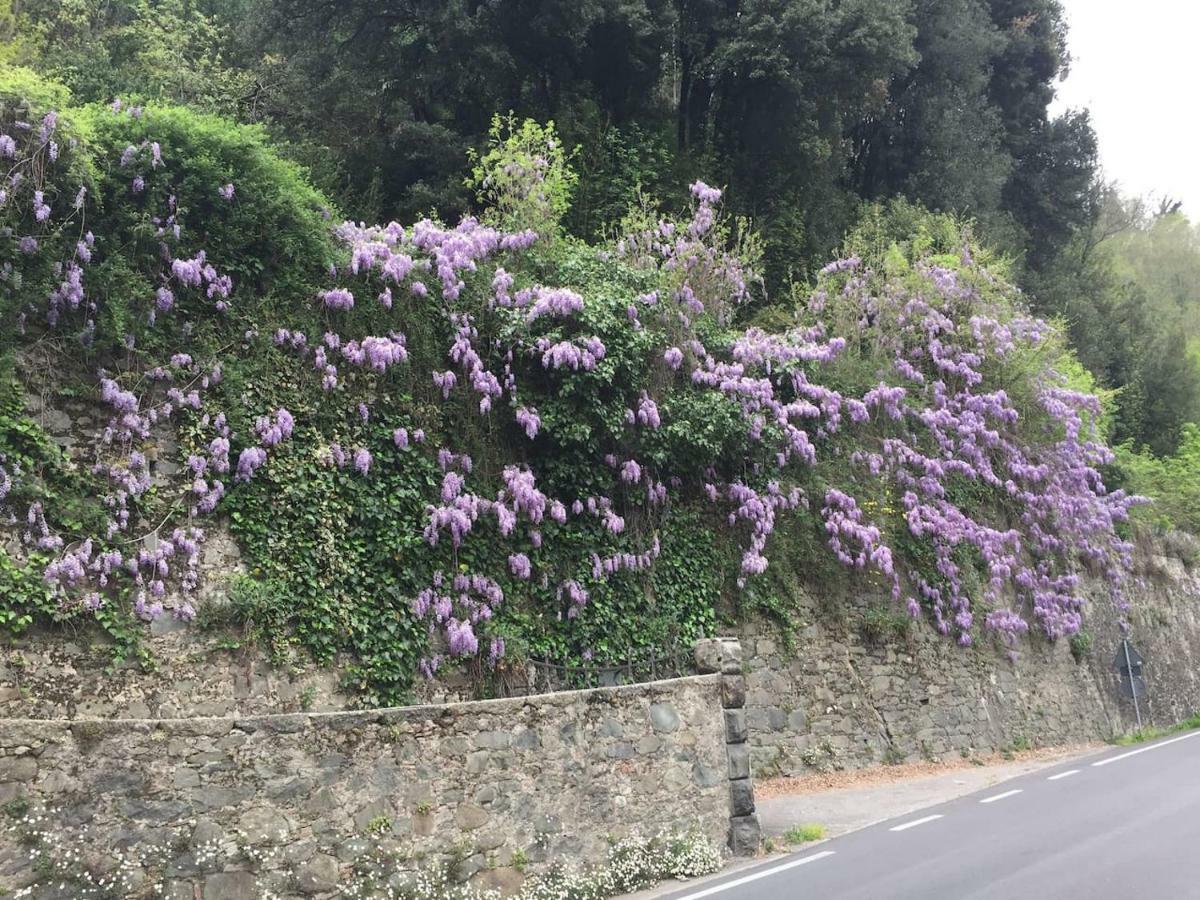 Ferienwohnung La Piccola Oasi Toscana Bagni di Lucca Exterior foto